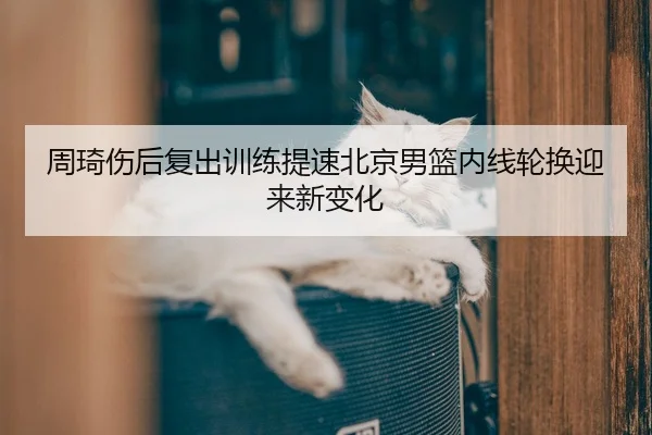 周琦伤后复出训练提速北京男篮内线轮换迎来新变化