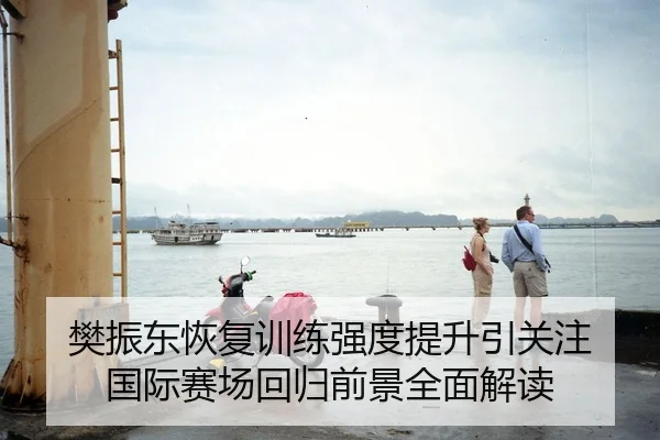 樊振东恢复训练强度提升引关注 国际赛场回归前景全面解读