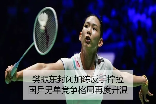 樊振东封闭加练反手拧拉 国乒男单竞争格局再度升温