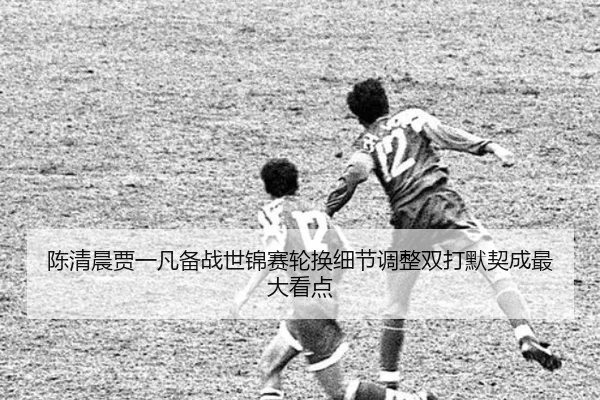 陈清晨贾一凡备战世锦赛轮换细节调整双打默契成最大看点